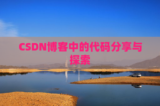 CSDN博客中的代码分享与探索